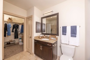 One Bedroom Apartment for rent inApartments in Houston’s Energy Corridor 